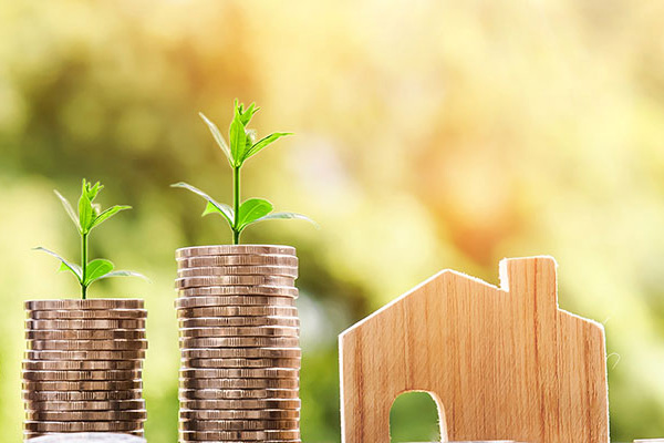 Coins And Wooden House